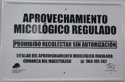 aprovechamiento micológico regulado comarca del Maestrazgo
